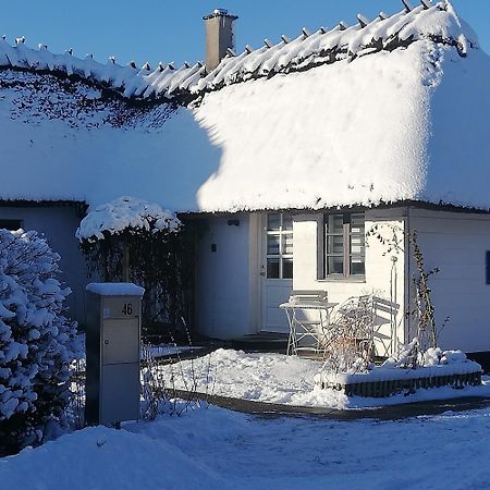 Appartamento The Whispering Apple Garden Retreat Morud Esterno foto