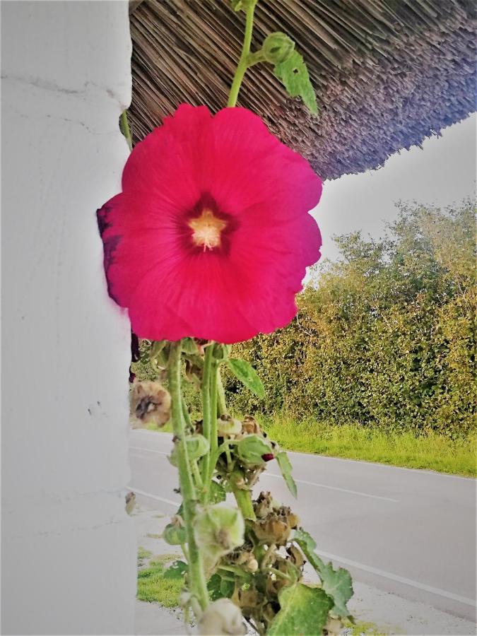 Appartamento The Whispering Apple Garden Retreat Morud Esterno foto