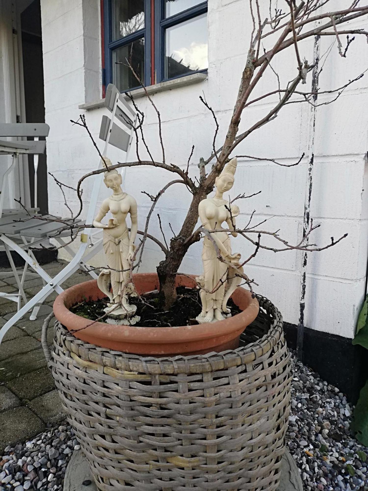 Appartamento The Whispering Apple Garden Retreat Morud Esterno foto